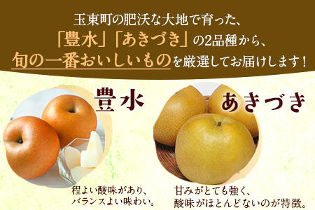 まえかわ梨園の玉東梨 熊本県玉東町産【2品種から旬の梨1種】約3kg（6-8玉前後）《 8月中旬-9月下旬頃出荷》 ｜ブランド梨 人気梨 特産品梨 熊本県梨 玉東町梨 大人気返礼品