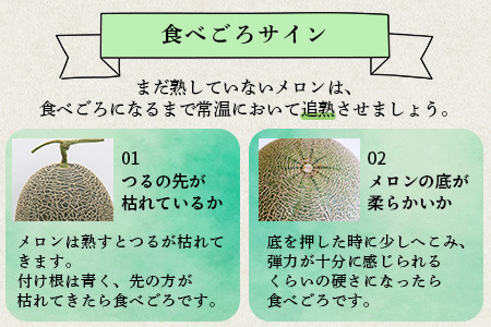 【2025年6月上旬から順次発送】 特大 肥後グリーンメロン 2玉 約5.4kg以上  ～ 果物 フルーツ グリーンメロン 先行予約 5.4kg 青肉 期間限定 数量限定 熊本県 多良木町  101-