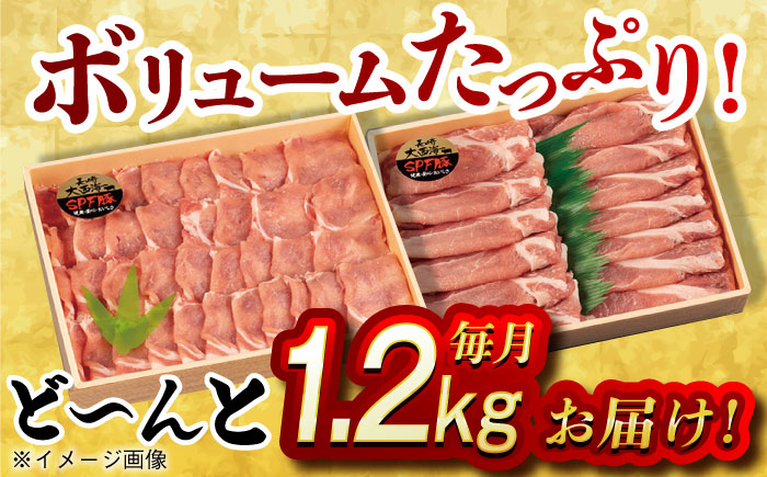 肉 豚 ぶた ブタ ロース しょうが焼き 生姜焼き しゃぶしゃぶ 小分け 長崎 九州 定期便