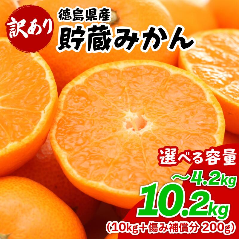 【ふるさと納税】 みかん 訳あり 4.2kg から 10.2kg 選べる 容量 傷み補償付き200g 熟成 柑橘 フルーツ 果物 みかん ミカン みかん 蜜柑 訳ありみかん 家庭用 オレンジ 1万円未満 徳島県 勝浦町 佐那河内村 5000 5000円 5000円以内