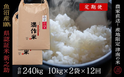 【 定期便 12ヶ月 】 米 20kg ( 10kg × 2袋 ) × 12回 令和7年産 新米 魚沼産 新之助 県認証米 特別栽培米 | しんのすけ お米 おこめ 白米 精米 新潟県 津南町