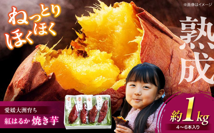 愛媛大洲育ち 熟成紅はるか焼き芋 1kg（4から6本入り） 冷やし焼き芋 さつまいも サツマイモ やき芋 冷蔵 小分け 個包装 愛媛県大洲市/(有)玉井民友商店 [AGBY007]