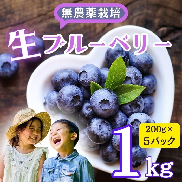 【ふるさと納税】【先行予約】栽培期間中 無農薬 完熟ブルーベリー姫[生]1kg (7-A15)＜出荷開始：2025年7月～2025年7月下旬ごろまで＞【果実 長野県 飯山市 美味しい おいしい お取り寄せ 季節限定品 ブルーベリー ジャム ヨーグルト アイス 冷蔵 完熟 甘い 摘みたて】