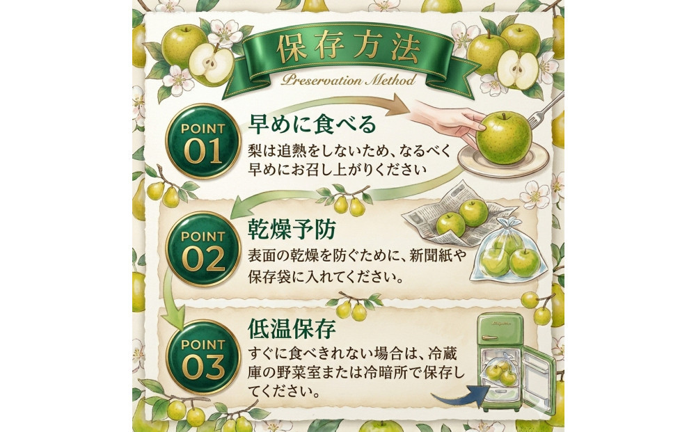 山根農園 二十世紀梨 ギフト3kg