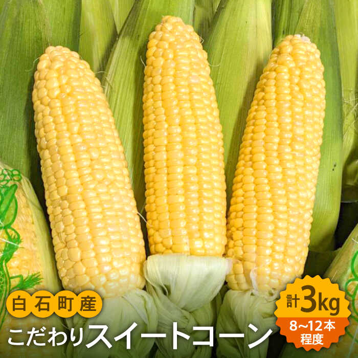 【ふるさと納税】 【数量限定】 農家直送！こだわり スイートコーン 約3kg（10〜12本）【玉葱農家 陣内ちひろ】 とうもろこし 新鮮 未来 ドルチェドリーム 野菜 期間限定 佐賀県 白石町 [IAO014]