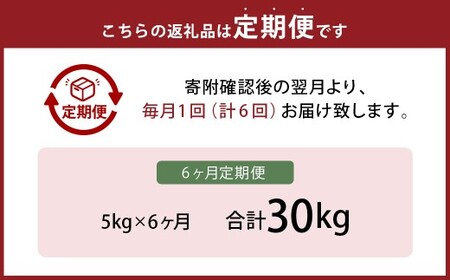 【6ヶ月定期便】 無洗米 食味鑑定士厳選 夢つくし 5kg×6回 計30kg お米 米 白米 食品 ご飯 飯 九州 福岡県 香春町 令和7年