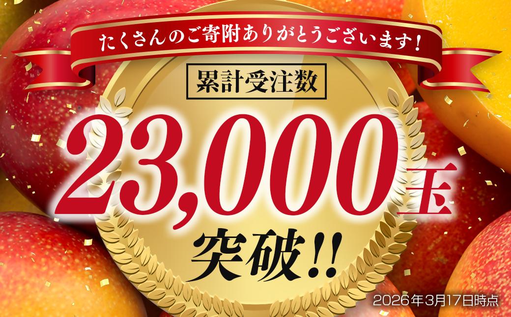 【先行予約】宮崎県産完熟マンゴー3L×2個 西都市特産品宮崎マンゴー＜1.5-132＞2026年発送