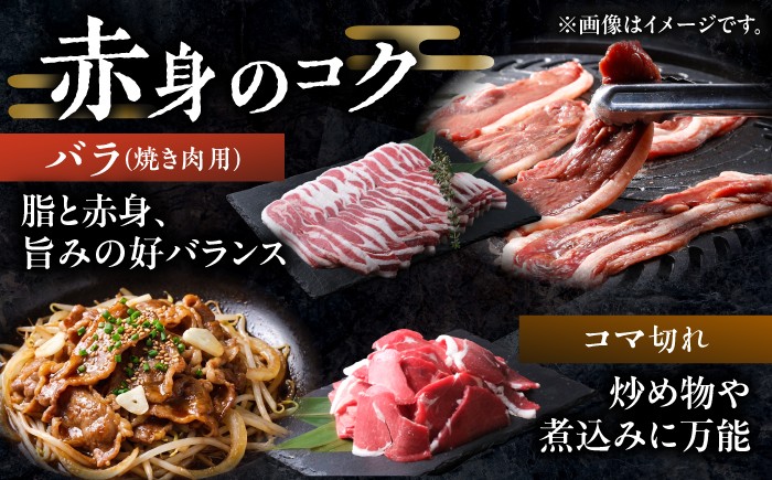 鹿肉 ジビエ肉 エゾ鹿肉 ジビエ 赤身肉 ヘルシー セット 食べ比べ 北海道