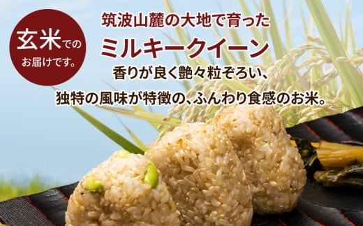 令和4年産 茨城県産ミルキークイーン 玄米（5kg×1袋）｜原料米調整地:茨城県土浦市 便利な少量5kgでのお届け。このお米は石抜き機、色彩選別機の処理済みです。 ※離島への配送不可