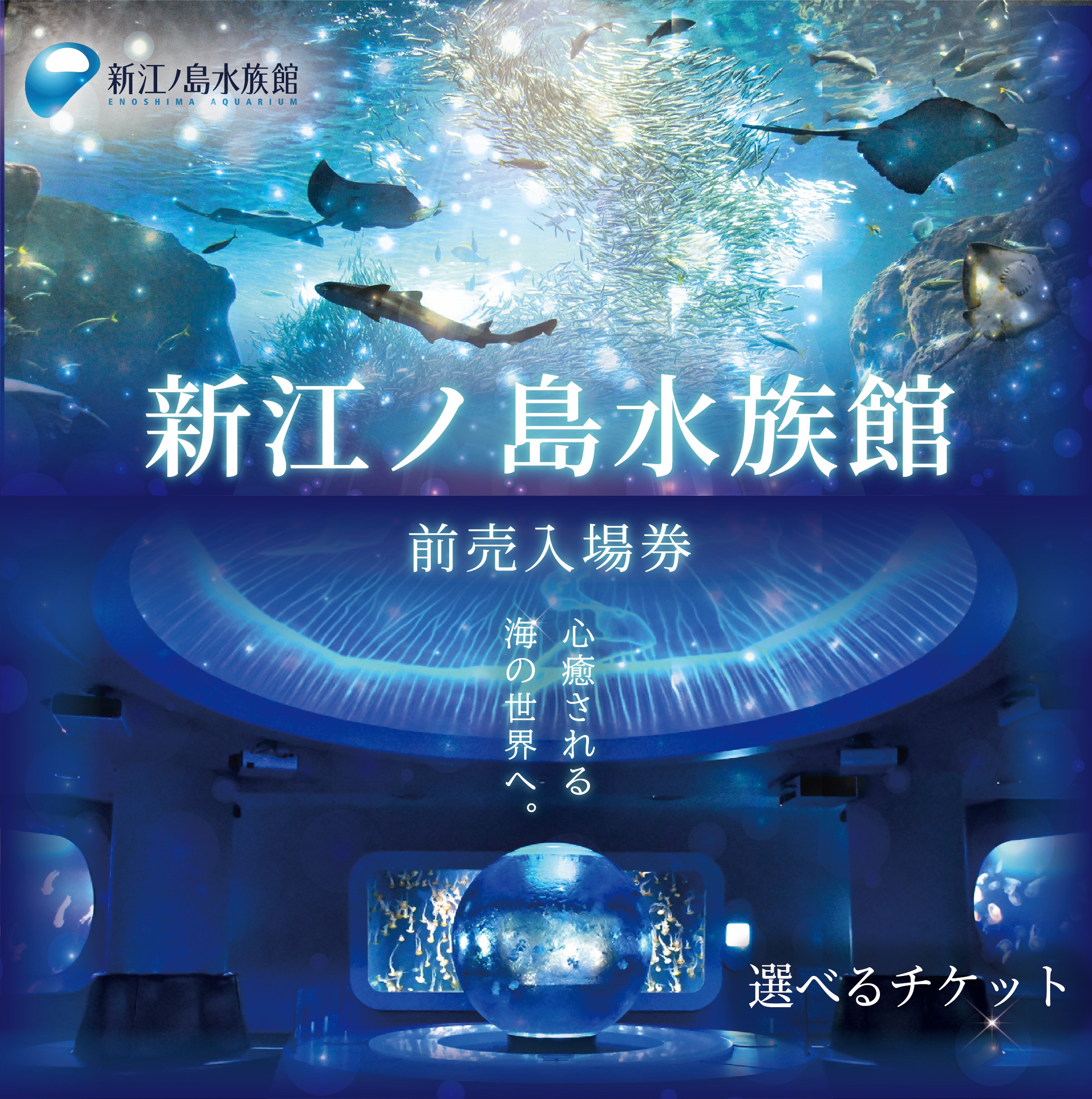 【ふるさと納税】 観光 水族館 新江ノ島水族館 チケット 前売 入場券 選べる チケット イルカショー 利用券 引換券 券 体験チケット 体験型 アクティビティ 入場券 前売り券 動物 家族 旅行 トラベル 関東 江の島 江ノ島 すいぞくかん レジャー 神奈川 湘南 藤沢