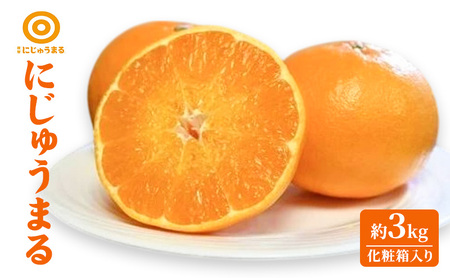 にじゅうまる 柑橘 化粧箱入り にじゅうまる【約3kg】