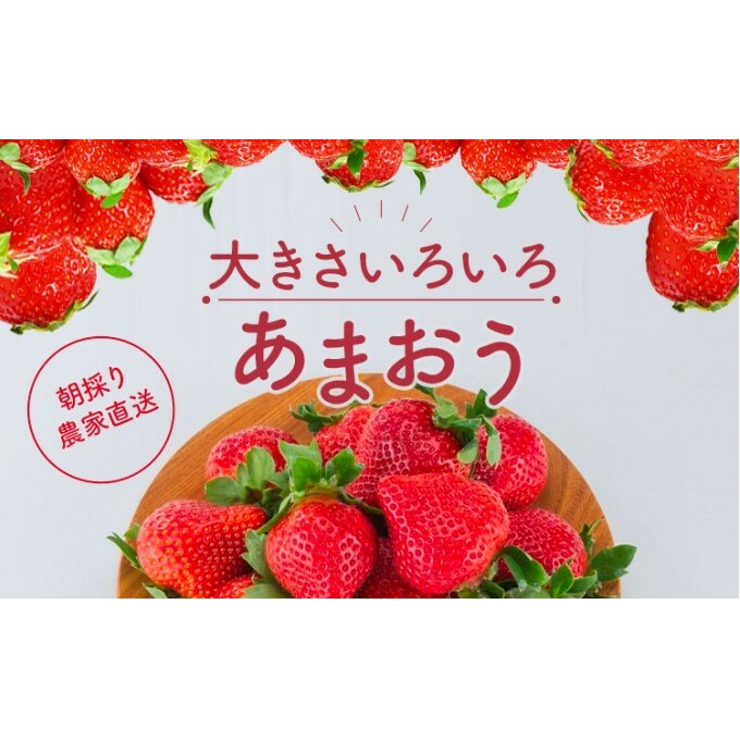 訳あり いちご 2027年2月中旬より発送 あまおう サイズ色々 6パック 約1.71kg 果物 フルーツ 福岡県産あまおう※配送不可：離島_イメージ3