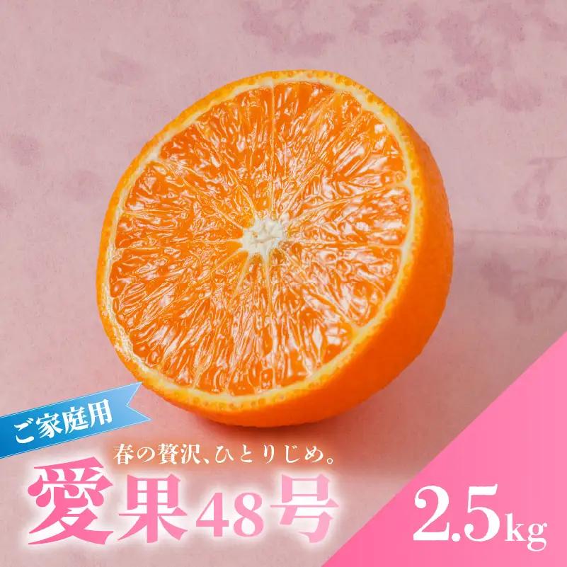 【2027年3月上旬頃から順次発送】 愛果48号 家庭用 約2.5kg | あいか48号 【RNK023】