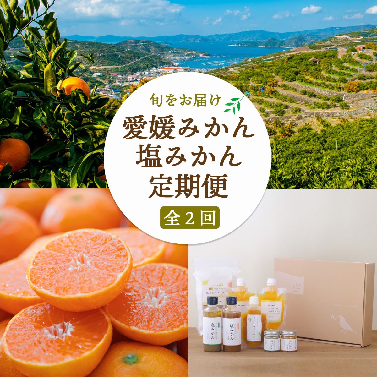 
                  ＜発送月固定定期便＞愛媛みかん&新しい調味料 塩みかんセット＜F25-162＞全2回【4050220】 YWTAP104
                