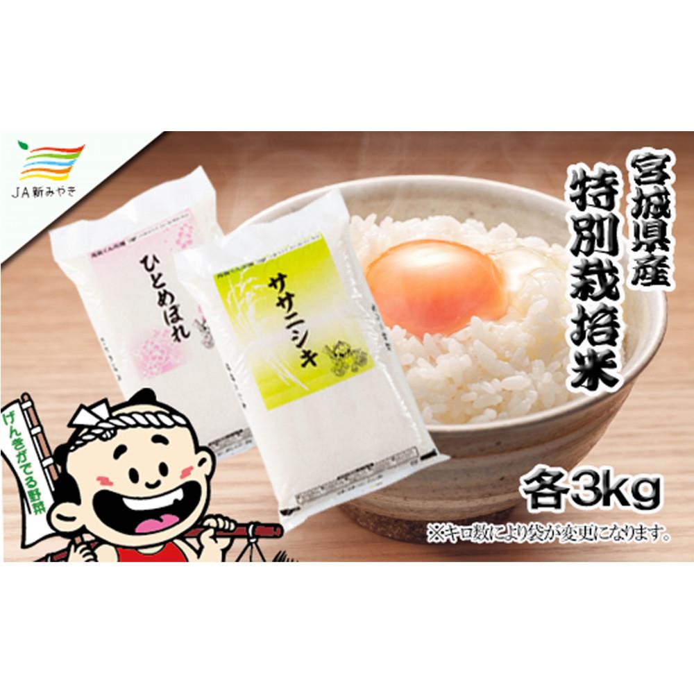 【ふるさと納税】元気くん市場 宮城の美味しいお米食べ比べセット（A）