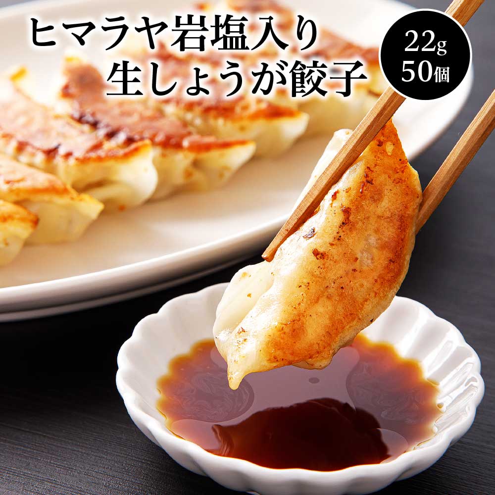 【ふるさと納税】ヒマラヤ岩塩入り生しょうが餃子(22g×50個)　【07208-0283】