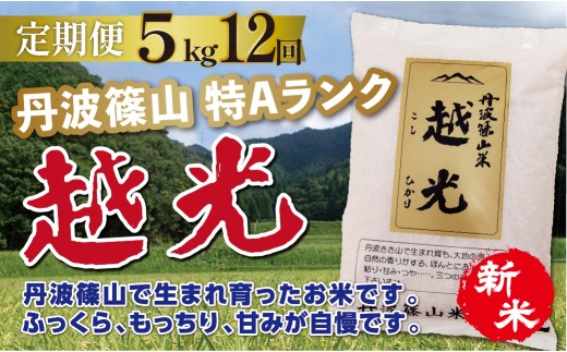 〈定期便 5kg 12回  特A コシヒカリ〉令和8年産 丹波篠山産 特A コシヒカリ 越光  | 丹波篠山 お米 おこめ ブランド米 ごはん ご飯 白米 米 コメ こめ 精米 精白米 おいしい米 美味しいお米 兵庫県 お取り寄せ こしひかり コシヒカリ
