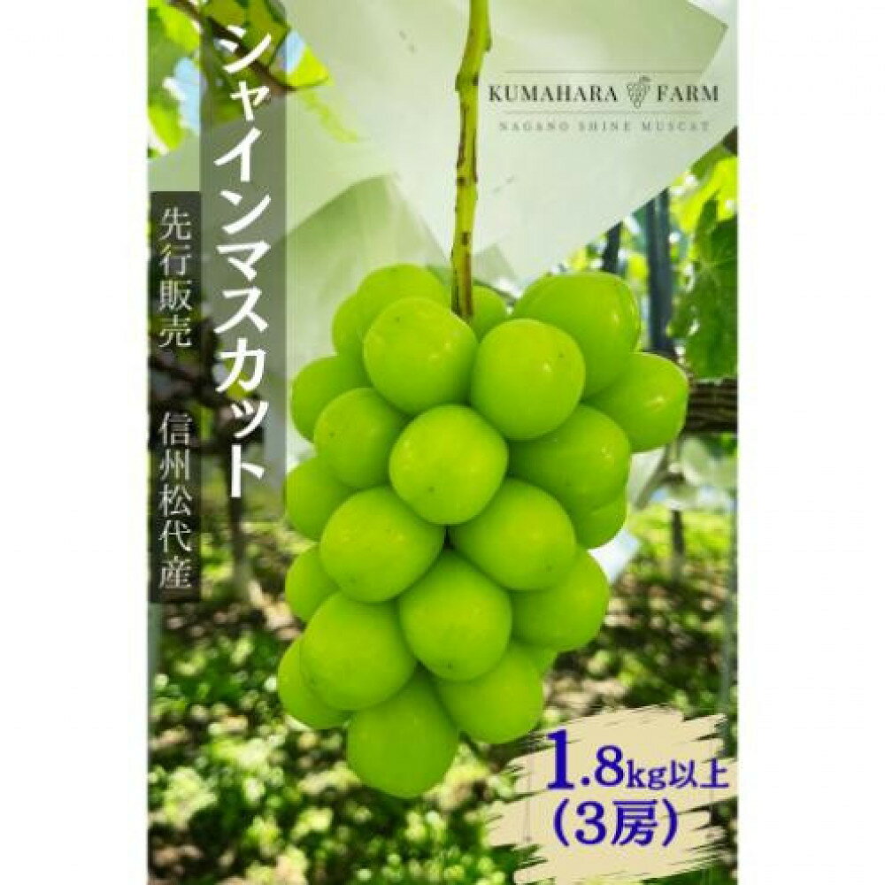 【ふるさと納税】長野市シャインマスカット　1.8kg以上