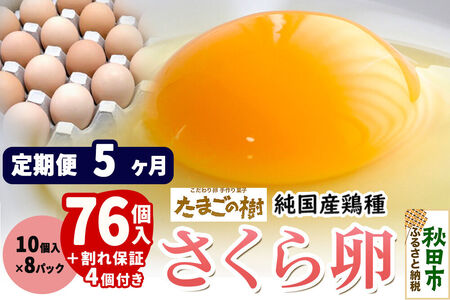 《定期便5ヶ月》 たまごの樹 純国産鶏種 卵『さくら』76個+割れ保証4個付き（10個入×8パック）