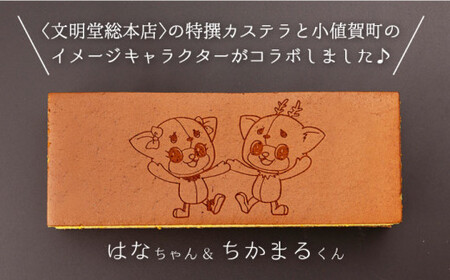 【全6回定期便】 おぢか焼印 特撰 カステラ 580g 1箱 「ちかまるくん」 《文明堂総本店》 [DBF007] かすてら 和菓子 菓子 常温 ギフト 手土産 スイーツ おやつ 卵 ゆるキャラ キャ