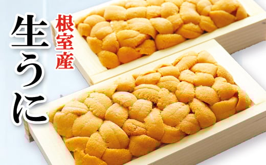 E-71041 【北海道根室産】エゾバフンウニ100g×2折