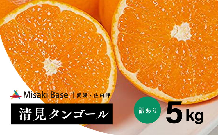 
【先行受付】【家庭用】清見オレンジ 5kg | みかん 柑橘 ミカン 蜜柑 mikan 果物 フルーツ 糖度 甘い きよみ タンゴール 温州 オレンジ ミックス 愛媛県 伊方町 Misaki Base ※2025年3月中旬～4月中旬頃に順次発送予定 ※離島への配送不可
