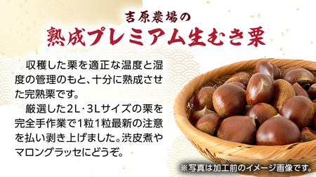 《 先行予約 》 【 吉原農場 の 完熟栗 】 熟成 プレミアム 生むき栗 ( 渋皮付き 500g × 1袋 ) 完熟 栗 くり クリ 栗ごはん 果物 フルーツ 贈答 ギフト 旬 秋の味覚 秋 冬 正