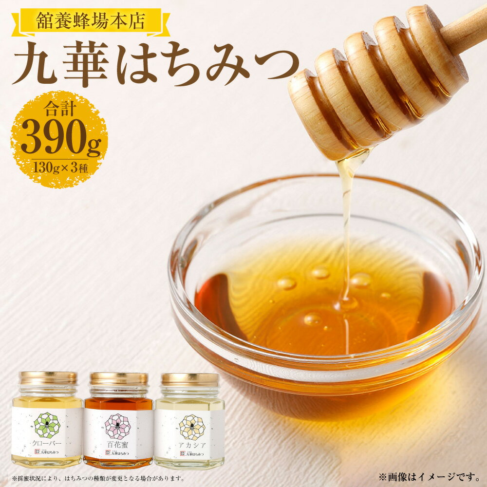 【ふるさと納税】 舘養蜂場本店 九華はちみつ 130g×3本セット