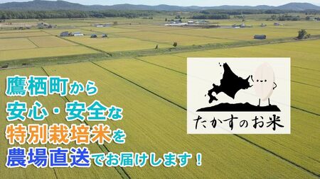 A284 　【 令和6年産 】 ゆめぴりか （ 精 白米 ） 特Aランク 北海道 米 を代表する人気の品種 真空パック 5kg×2袋 10㎏ 北海道 鷹栖町 たかすのお米 米 コメ こめ ご飯 白米 