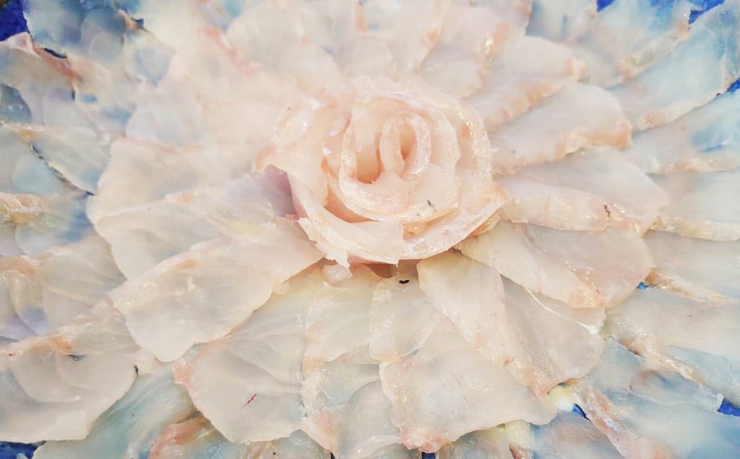 丸ごと1匹お届け！長崎近海 天然アラ (クエ) 8kg台 (8.2〜8.8kg、12〜15人前) ／ 魚 鮮魚 魚介 海鮮 高級魚 くえ あら 血抜き 鍋 刺身 大将農園 長崎県 長崎市 【2025年