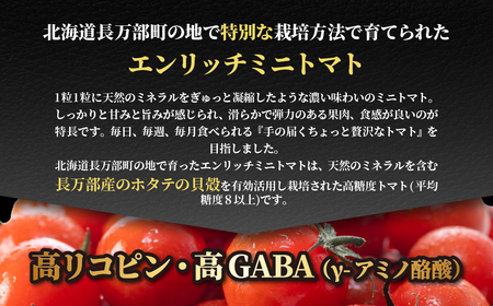 【先行予約】【高糖度11以上】PREMIUM ENRICHI ミニトマト 300g・トマトジュース 300ml×1本 セット OSMN015