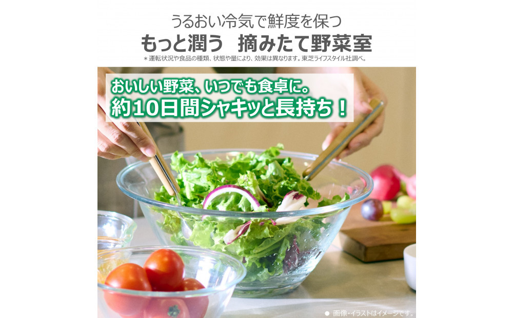 東芝　冷蔵庫【標準設置費込み】　543L　6ドア　両開き　冷凍冷蔵庫　GR-Y540XFS(TW)