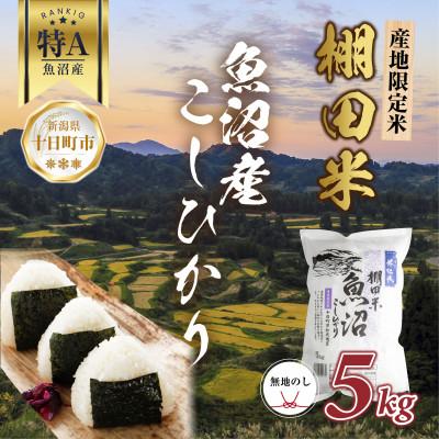 ふるさと納税 十日町市 【無地熨斗】 棚田米 魚沼産 コシヒカリ 5kg 新潟県 十日町市 松代地区限定米 | 