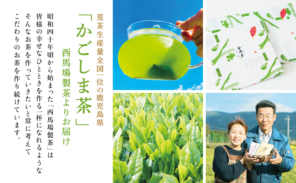 【西馬場製茶】金峰山白銀 上煎茶バラエティセット 鹿児島県産 かごしま お茶 水出し 冷茶 日本茶 緑茶 茶葉 上煎茶 ティーパック 粉末緑茶 粉末 セット 詰め合わせ 自園自製 贈り物 贈答 ギフト