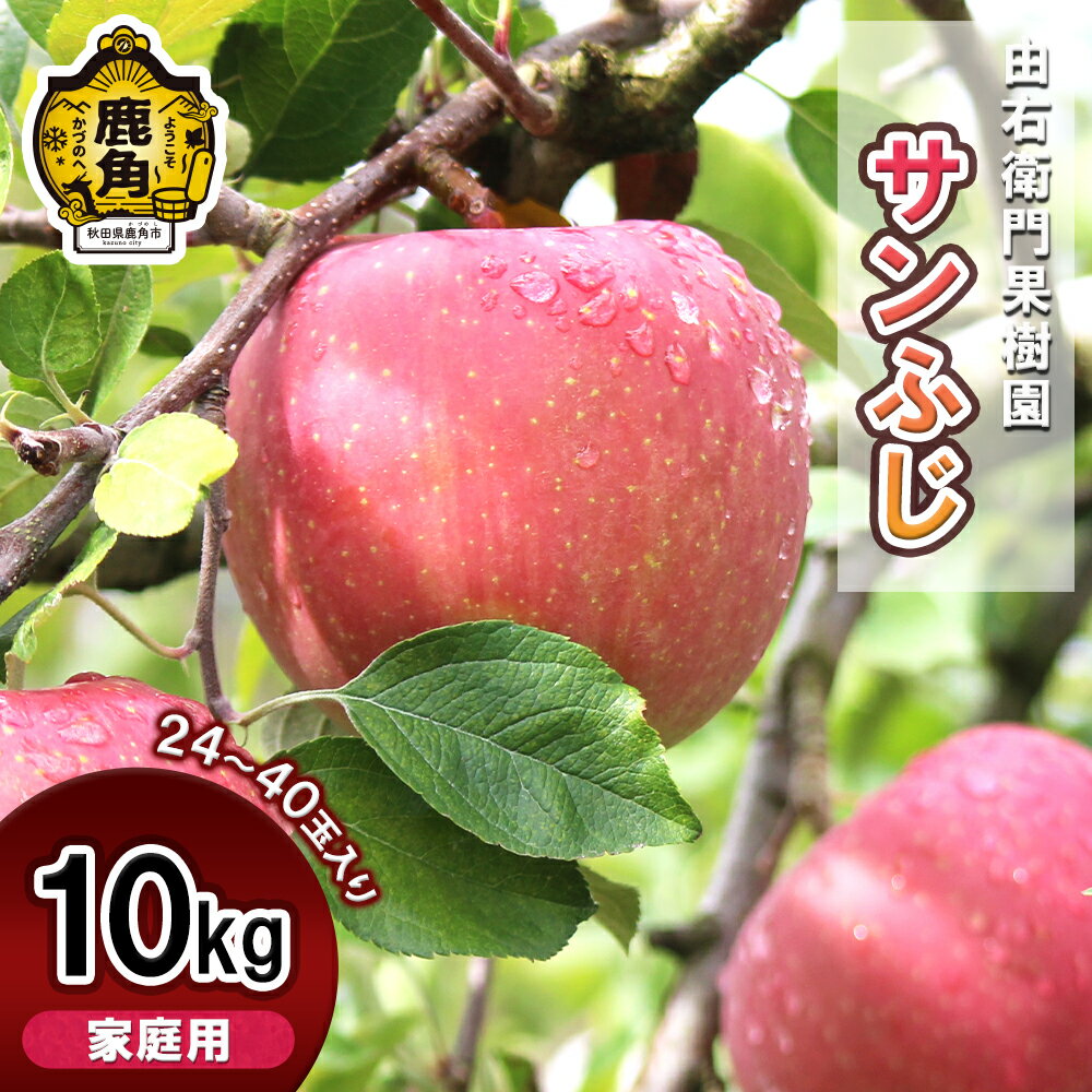 【ふるさと納税】《先行予約》由右衛門果樹園 りんご 「 サンふじ 」 家庭用 約10kg （24～40玉入） リンゴ 完熟 旬 ふじ フジ 県産りんご お歳暮 グルメ ギフト 故郷 秋田 あきた 鹿角市 鹿角 送料無料 【由右衛門果樹園】