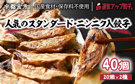宇都宮餃子 運気アップ餃子  2種類味比べ(合計36個)【餃子 ぎょうざ ギョウザ 食べ比べセット 冷凍餃子 冷凍食品 惣菜 栃木県 宇都宮市 】※配送不可地域：離島