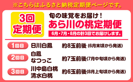 桃 モモ【 3回 定期便 】あら川の桃 約1.8kg~約2kg 旬の品種3回お届け 3回お届け 橋村農園 《2025年6月下旬-8月中旬頃出荷》 和歌山県 紀の川市