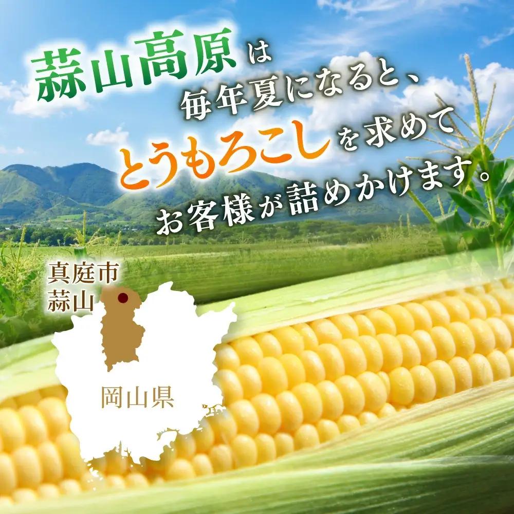 とうもろこし 蒜山高原産 朝採れイエローコーンとうもろこし20本 【jujy002-02】
