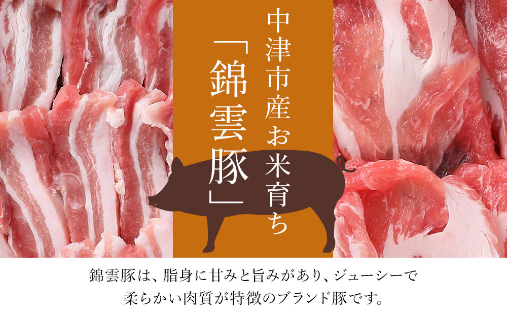 錦雲豚餃子とソーセージのセット レシピ付 餃子60個 ウインナー120g | お肉 肉 豚 豚肉 ブランド豚 錦雲豚 餃子 ギョウザ ソーセージ ウインナー セット 九州産 大分県産 国産 冷凍 送料