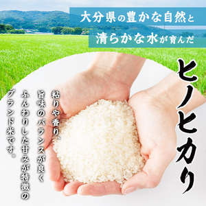 ヒノヒカリ 白米 (計5kg) お米 ごはん ご飯 ひのひかり 数量限定 【117800101】【ジョイライス大分】