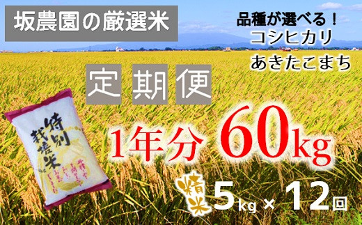 
【定期便12回】坂農園の厳選米！1年分60kg（5kg×12回）※配送期間：2024年10月～2025年9月
