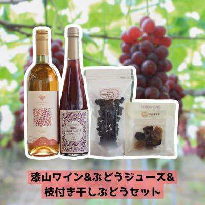 ふるさと納税 南陽市 漆山ワイン&amp;ぶどうジュース&amp;枝付き干しぶどうセット【S784】