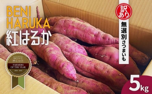 先行受付【訳あり】さつま芋 紅はるか 約5kg 千葉県香取市産【2025年12月上旬より順次発送】 KTRAZ005