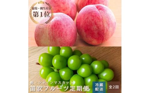 
            ＜25年発送先行予約＞オギノフルーツ定期便（桃 約2kg・シャイン 1.2kg以上） 136-013
          