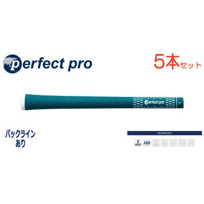 ふるさと納税 小美玉市 パーフェクトプロ　【エックスホールド　ラバー】Eグリーン　5本　バックライン有　グリップ