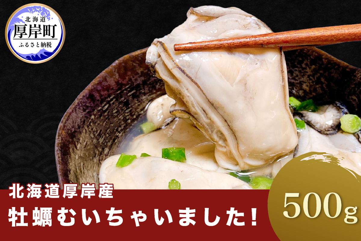 牡蠣 北海道厚岸産 牡蠣むいちゃいました！ 生食用 500g×1 むき身 生牡蠣 貝 海鮮 魚介類 新鮮 
