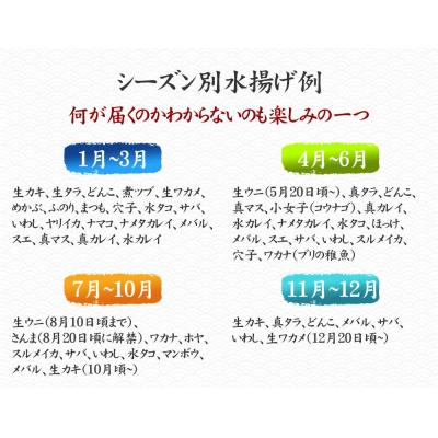 ふるさと納税 陸前高田市 【隔月6回定期便】厳選 三陸海の恵み詰め合わせ 4〜5人用 下処理済 旬 魚 鮮魚 新鮮 刺身 |  | 02