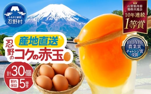 富士山の麓で育った産地直送 ”忍野の卵”※卵25個+割れ保証5個　計30個