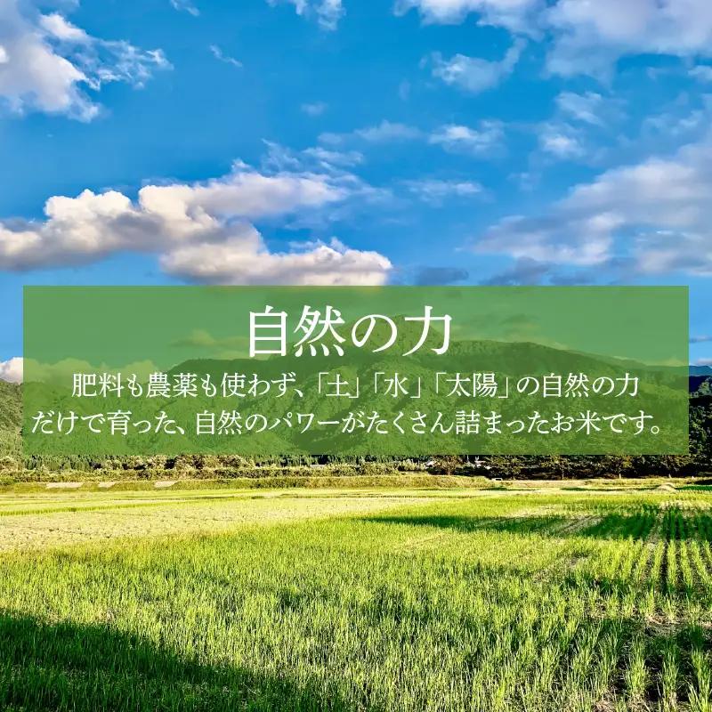 【先行予約】【令和8年産 新米】【定期便12回】伊与衛門農園の自然栽培コシヒカリ玄米 5kg×12回 伊与衛門農園の特別栽培米 ＜温度と湿度を常時管理し新鮮米を出荷！＞ / 米 自然の力 高品質 鮮度