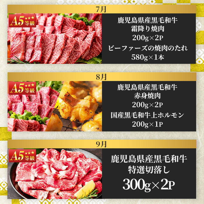 No.754 ＜定期便・全12回(連続)＞お楽しみ！大人気の返礼品定